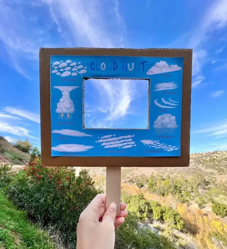 Zerua, laino ezberdinak erreparatuz