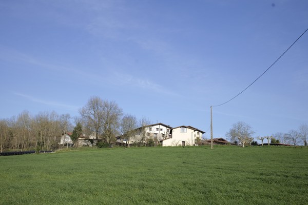 Oinatz, Azpeitia