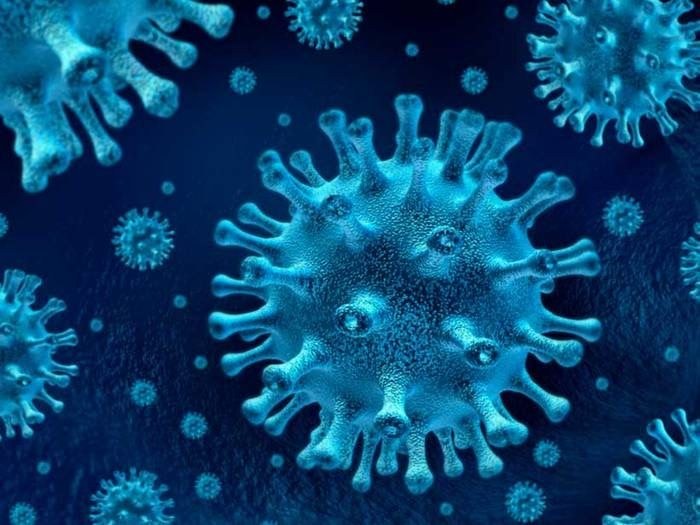 Alarma egoeraren inguruan ezarritako hainbat irizpide