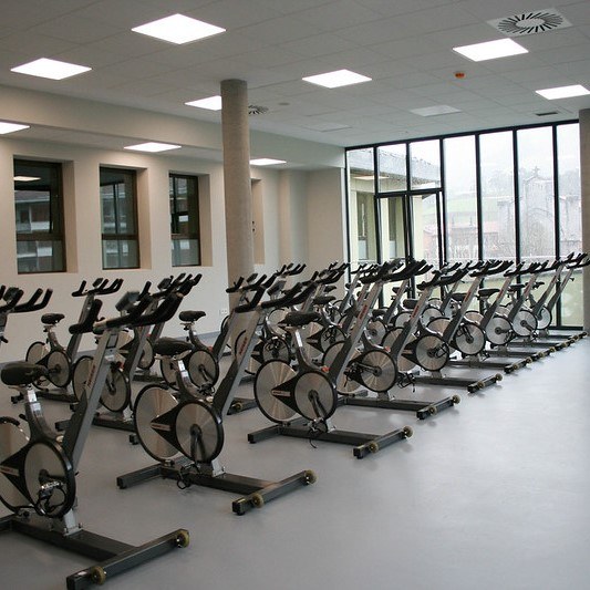 Argitaratu dituzte kiroldegiko ikastaroetan onartutakoen zerrendak