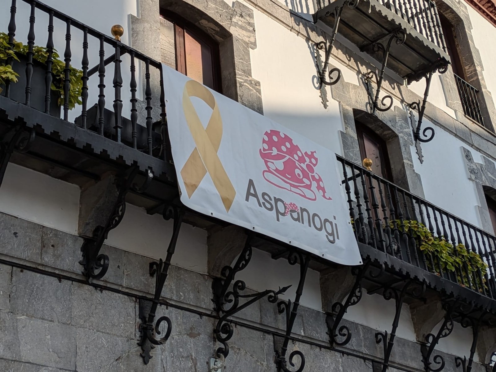 Aspanogiren bandera pirata ibiltaria udaletxeko balkoian egongo da astelehenera arte