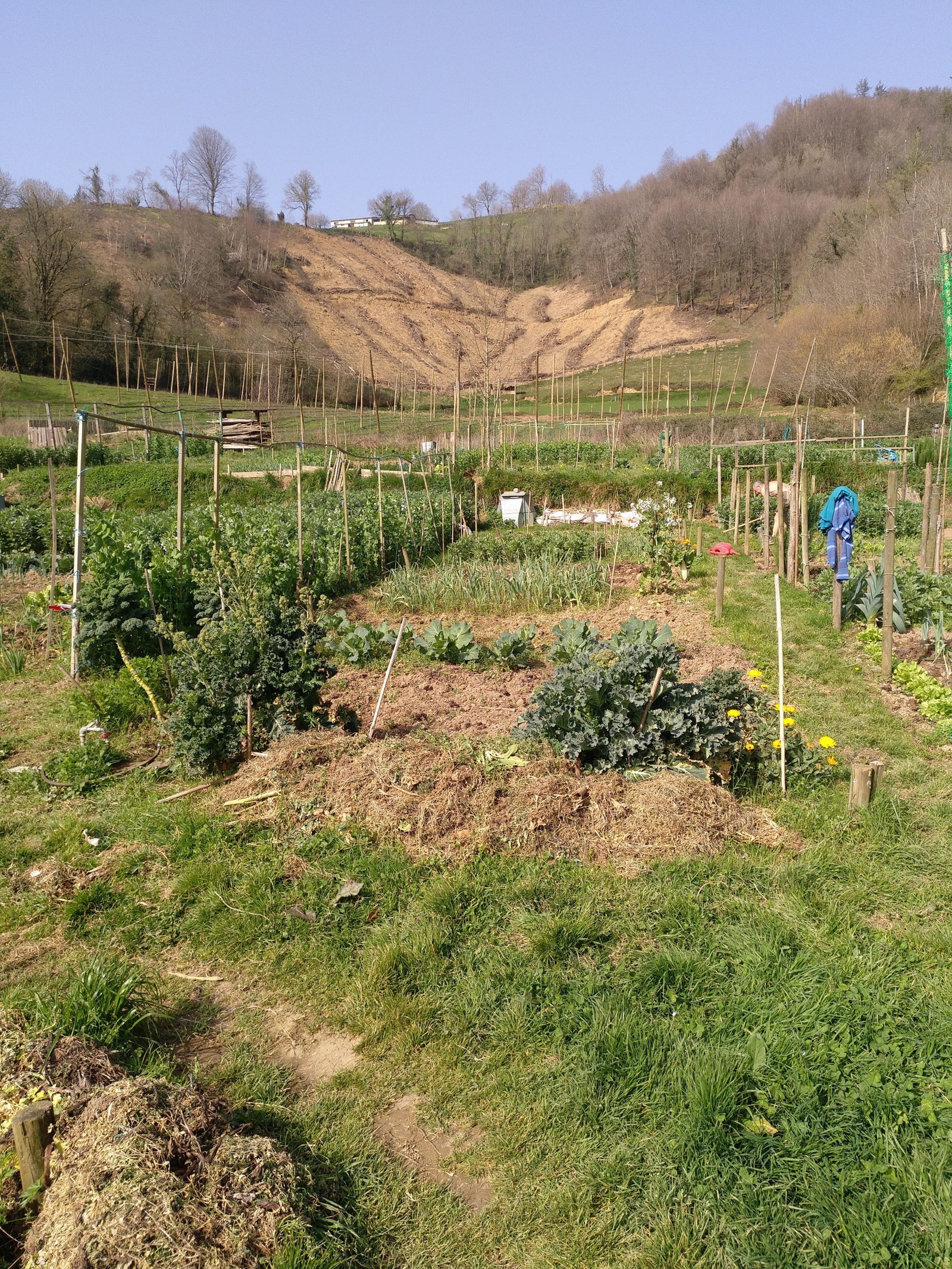 Baratze ekologikoetako esleipendunek udaletxera etorri behar dute kontratua sinatzera
