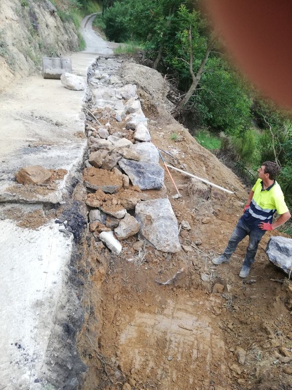 IMG_20190717_120500_resized_20190726_114000747.jpg IMG 20190717 120500 resized 20190726 114000747