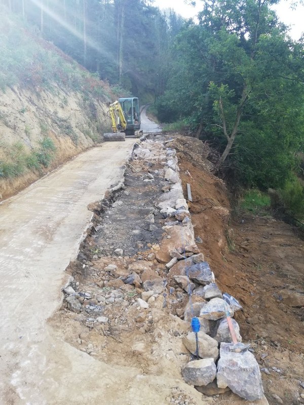 IMG_20190718_092946_resized_20190726_114001284.jpg IMG 20190718 092946 resized 20190726 114001284