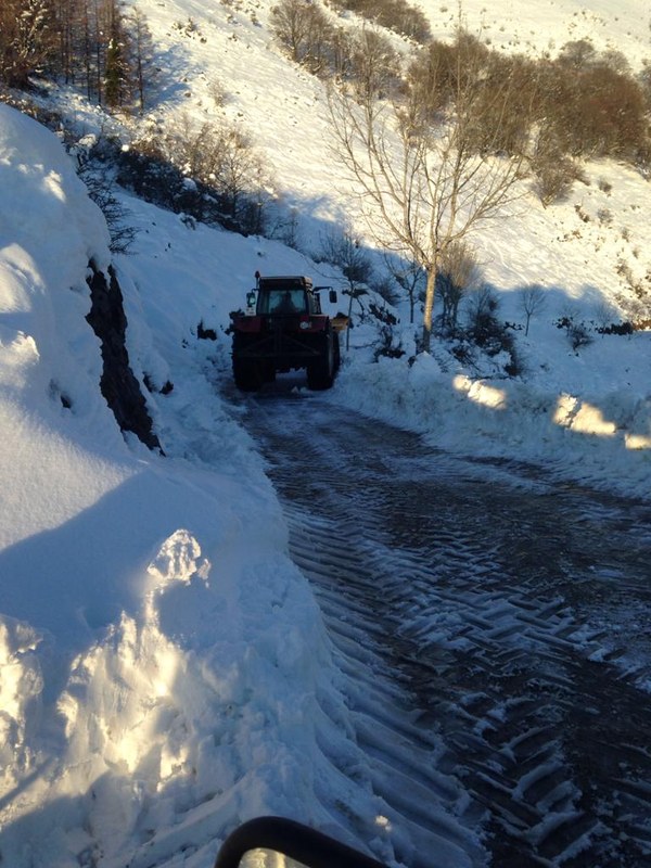 9a9ca44d 1dfe 4556 ae70 e8d500bb8f04