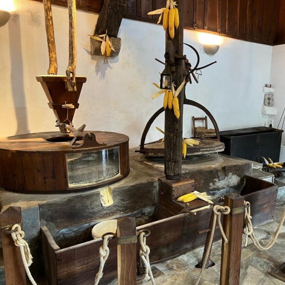 Errotei buruzko ezagutzan sakontzeko eguna