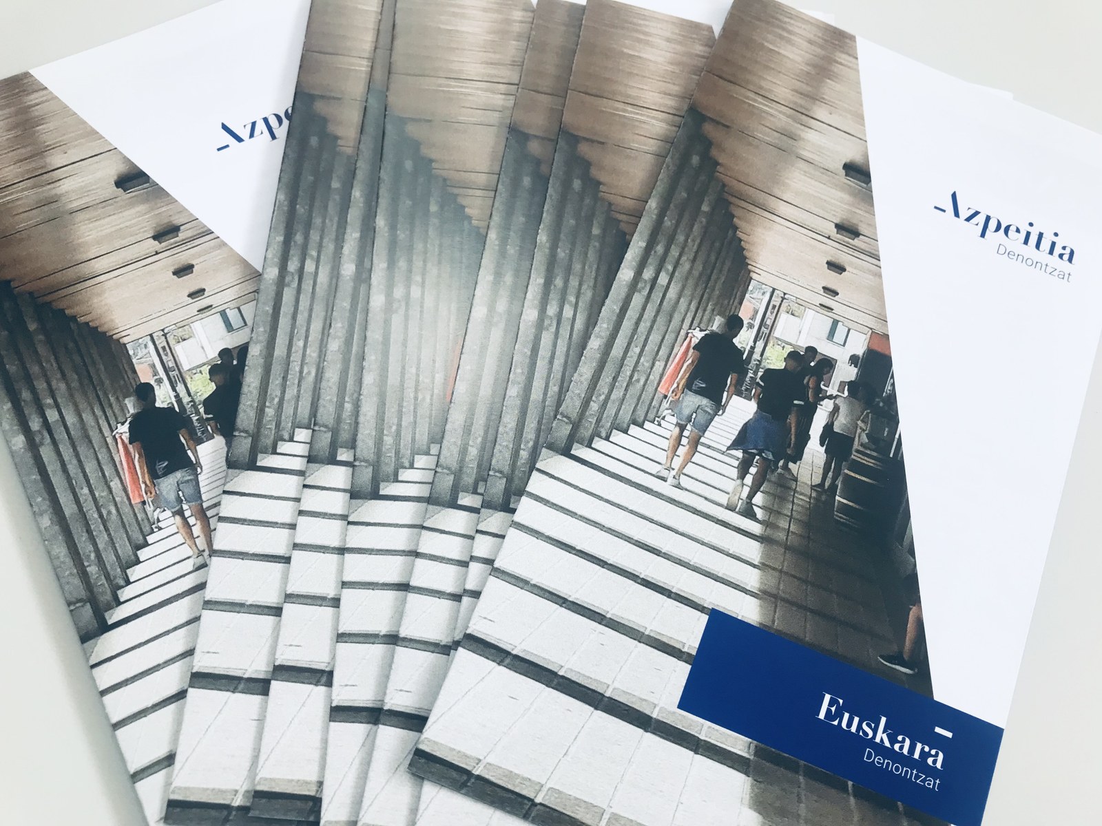 Euskara Plana osatzeko inkestak bete daitezke oraindik