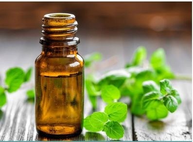 Girotzaile ekologikoen doako tailerra egingo da igandean, ekoetxean