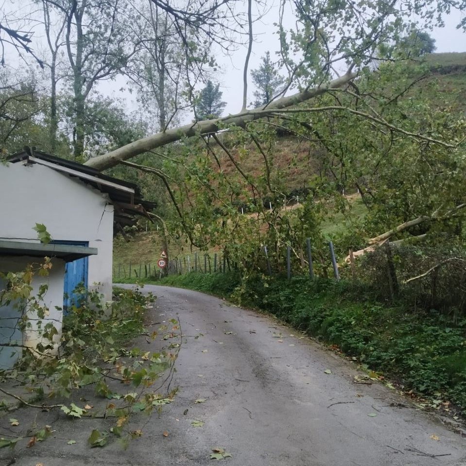 Ireki dute Sistiaga errekako errepidea