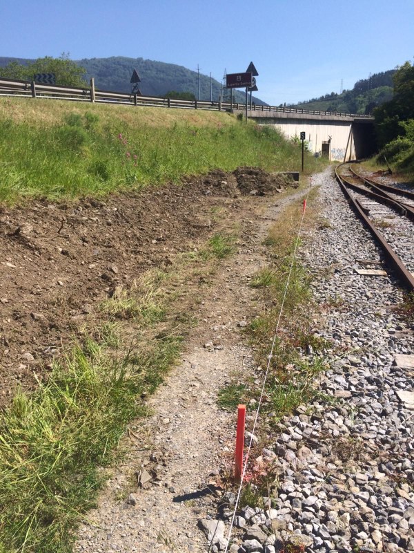 PHOTO-2019-05-22-16-55-20_1.jpg PHOTO 2019 05 22 16 55 20 1