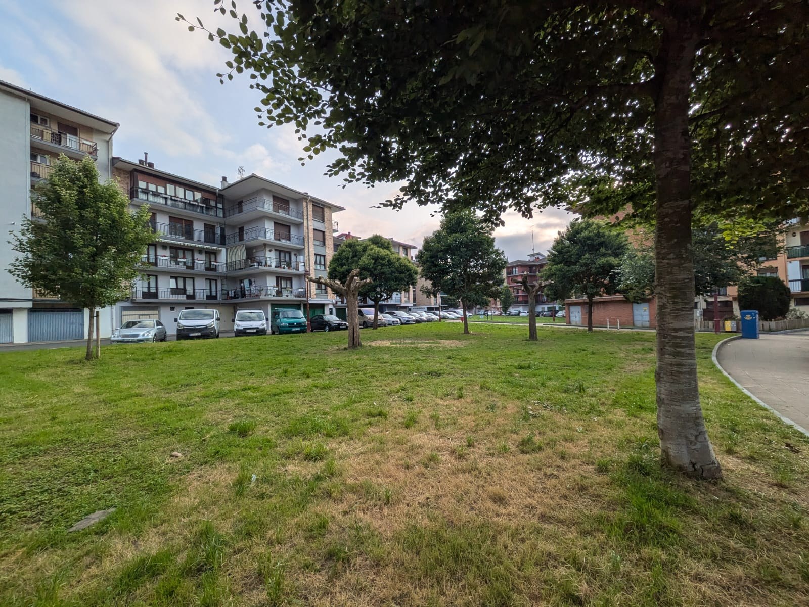 Hasi dituzte Salbe auzoko berdegunea eraberritzeko lanak