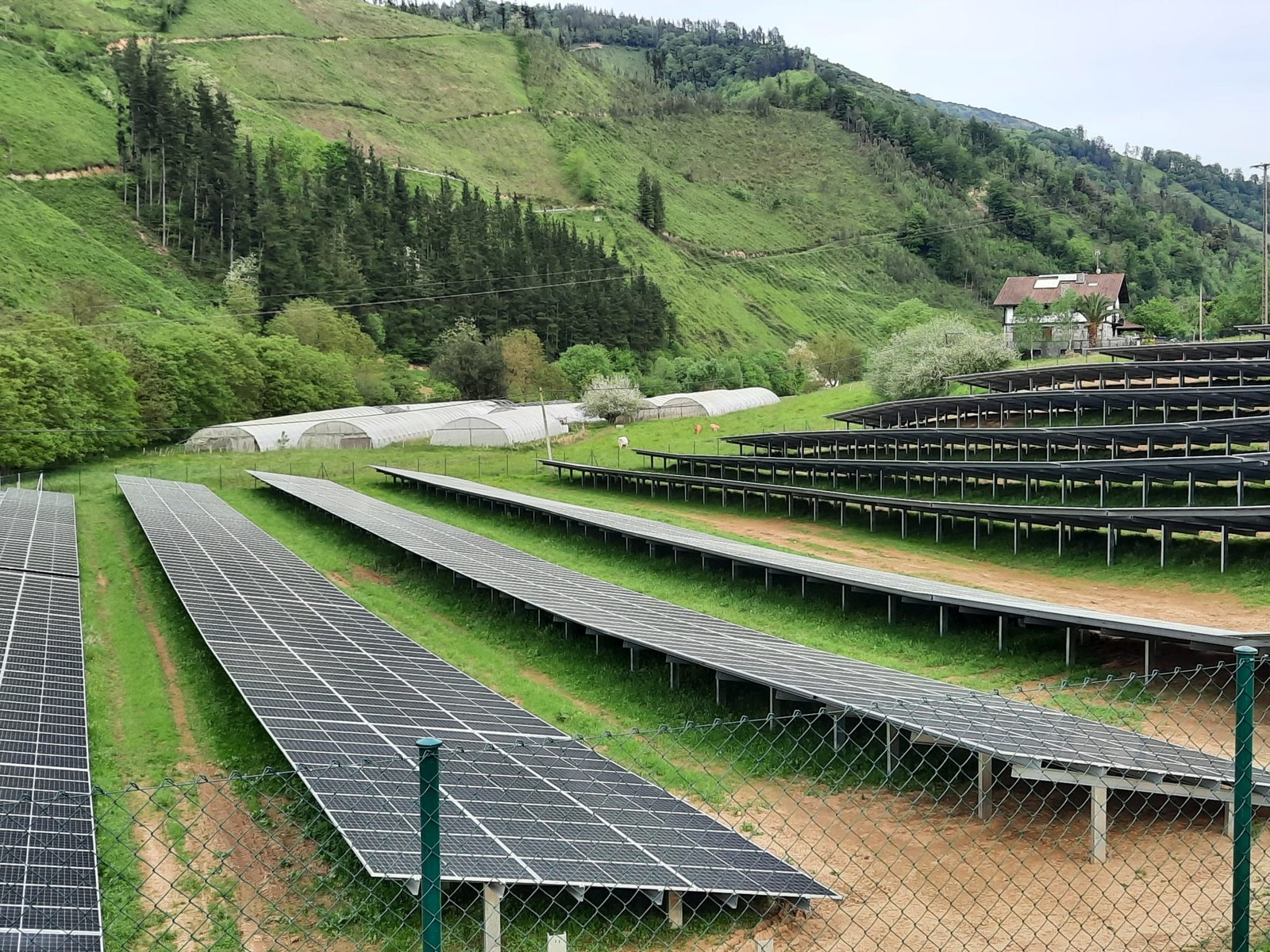 Ia hiru urteko bide judizialaren ostean, auzitegiek arrazoi eman diote udalari Ekindarren eguzki plaken kokapenaren auzian