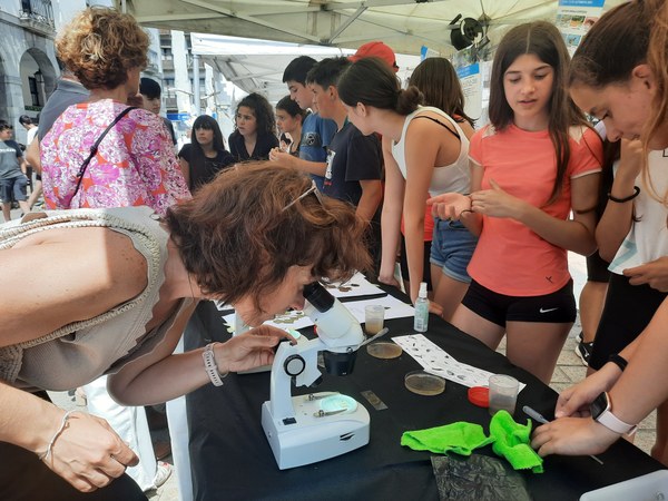 20220615_123744.jpg 20220615 123744