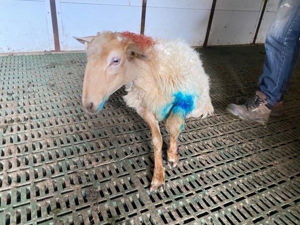 d421b693 5d35 442e adb8 25f1076a6630