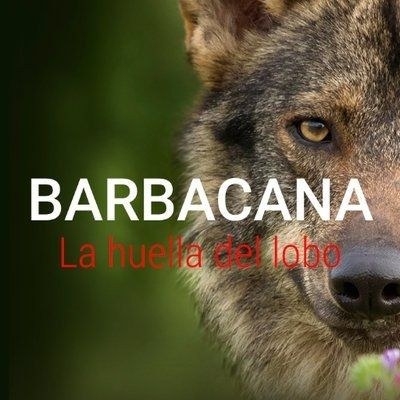 Otsoak ekosistema iberiarretan duten garrantzia azpimarratzen duen 'Barbacana, la huella del lobo' filma izango da ikusgai azaroaren 6an 19:00etan Soreasun Otsoak ekosistema iberiarretan duten garrantzia azpimarratzen duen 'Barbacana, la huella del lobo' filma izango da ikusgai azaroaren 6an 19:00etan Soreasun