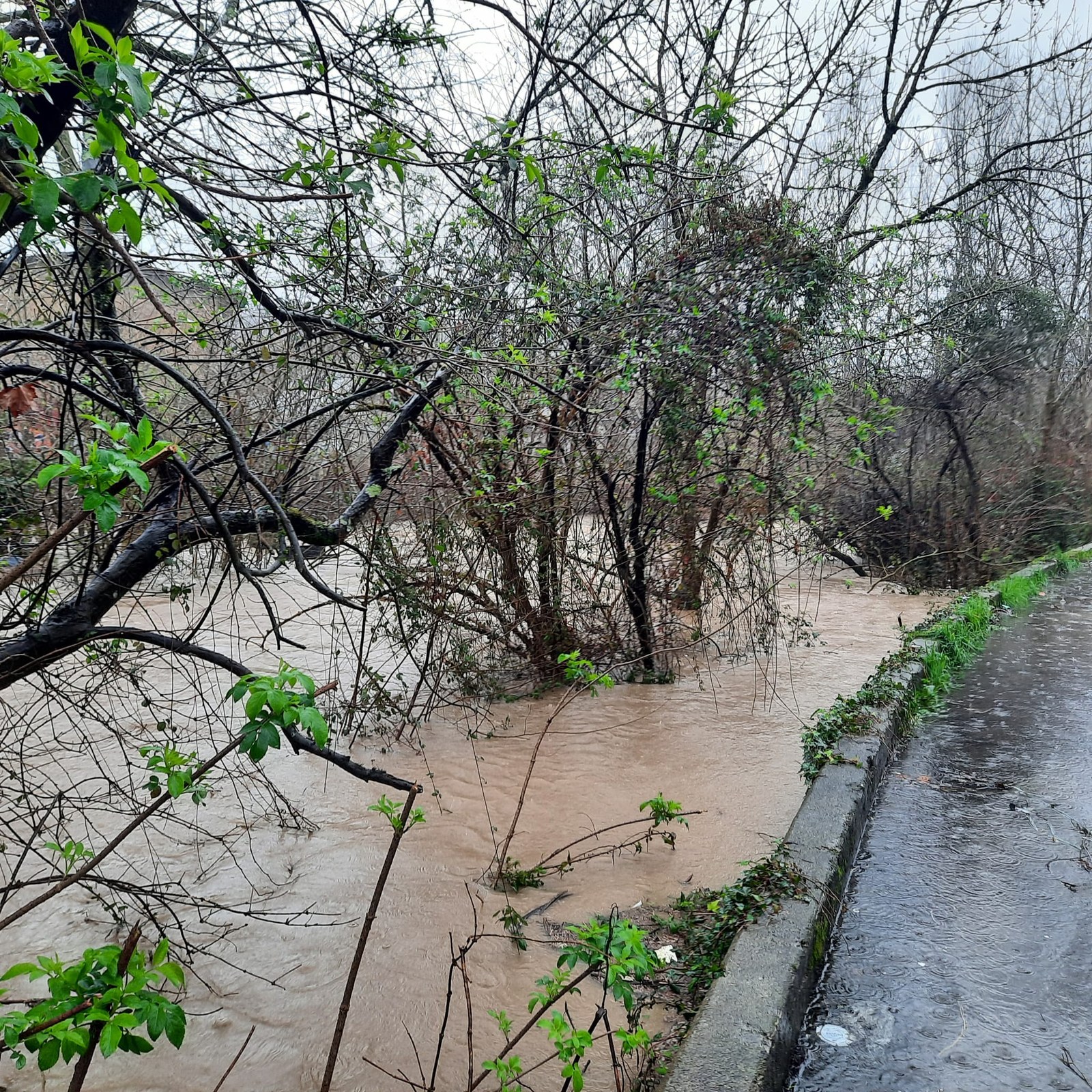 Uholde eta haizeteen larrialdi plana aurkeztuko du udalak asteazkenean