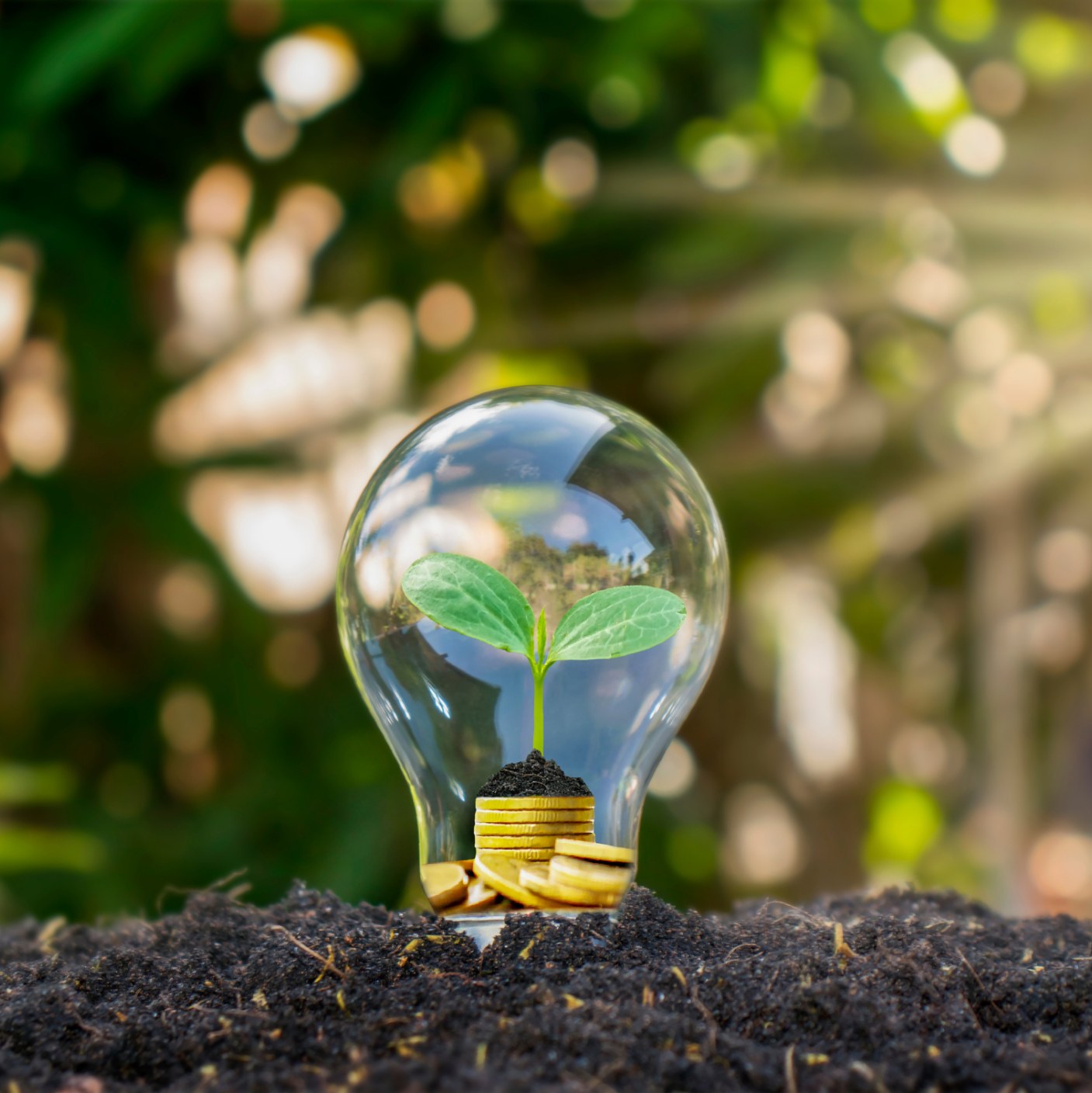 Urola Erdiko Klimari eta Energiari buruzko Planerako iritzia emateko aukera